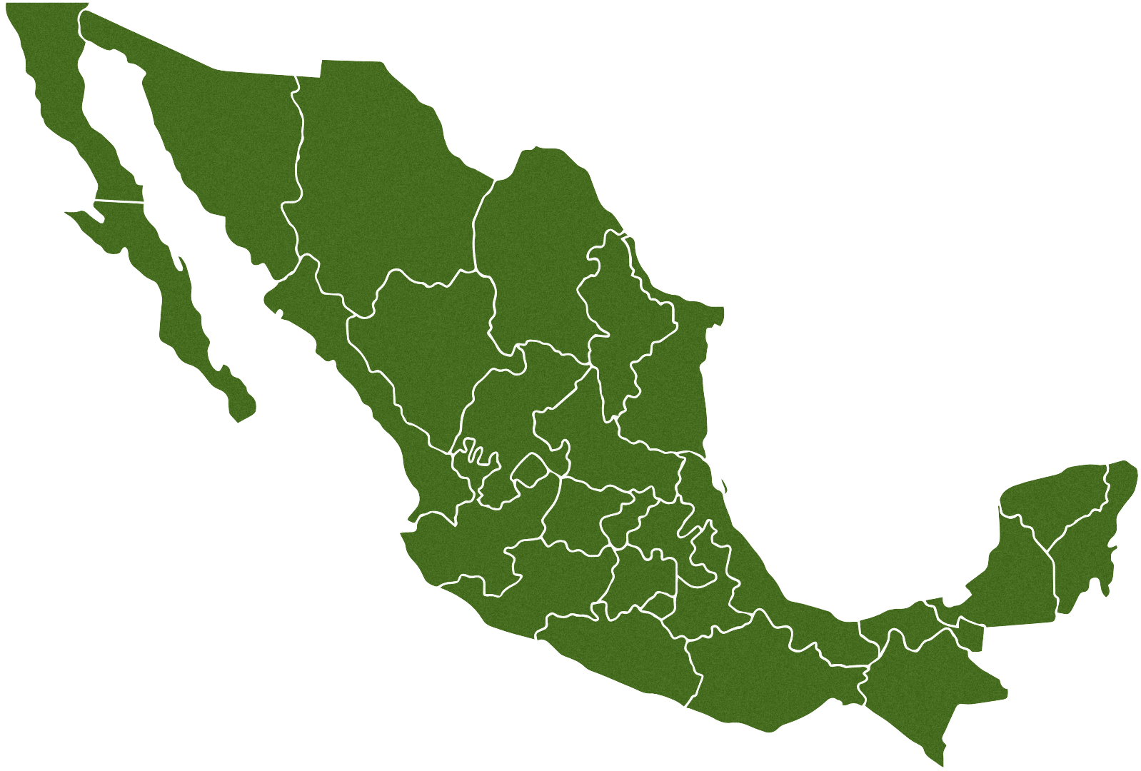 Young Life México