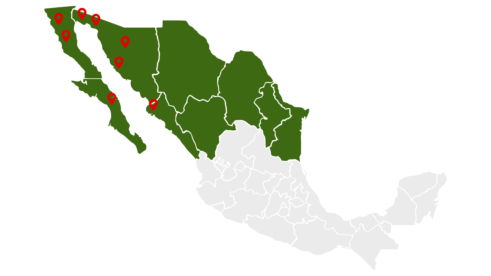 Young Life México